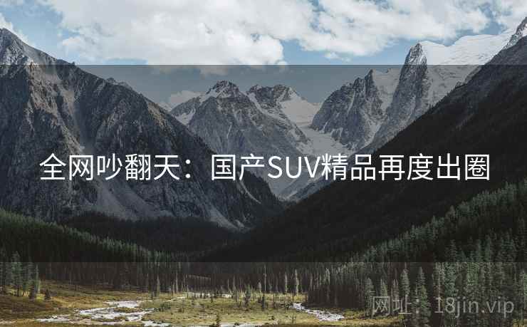全网吵翻天:国产SUV精品再度出圈